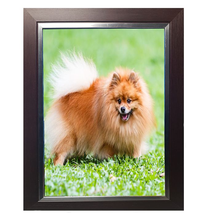 מסגרת לתמונה בגודל 30*20 דגם פס עם 4 צבעים לבחירה