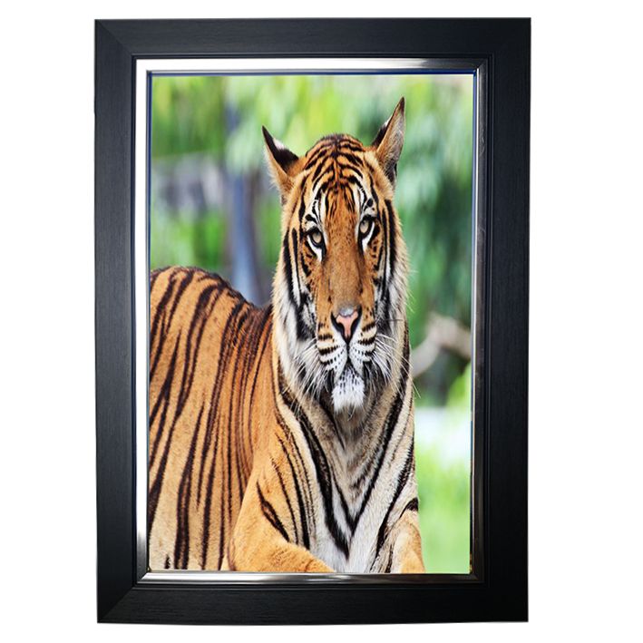 מסגרת לתמונה בגודל 45*30 דגם פס עם 4 צבעים לבחירה