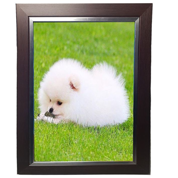 מסגרת לתמונה בגודל 45*30 דגם פס עם 4 צבעים לבחירה